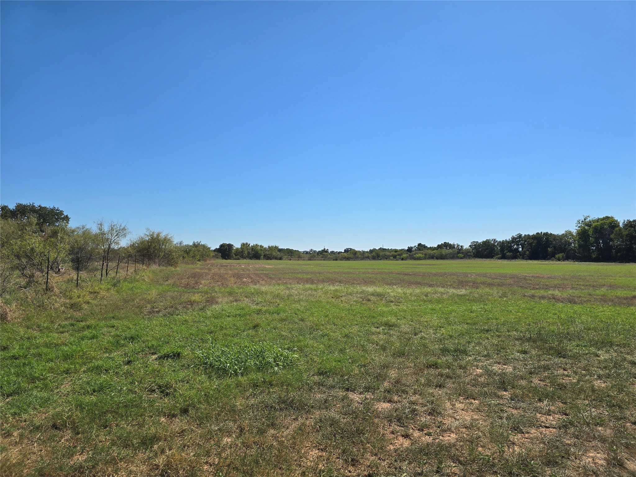 Tbd County Road 298 Dublin TX 76446