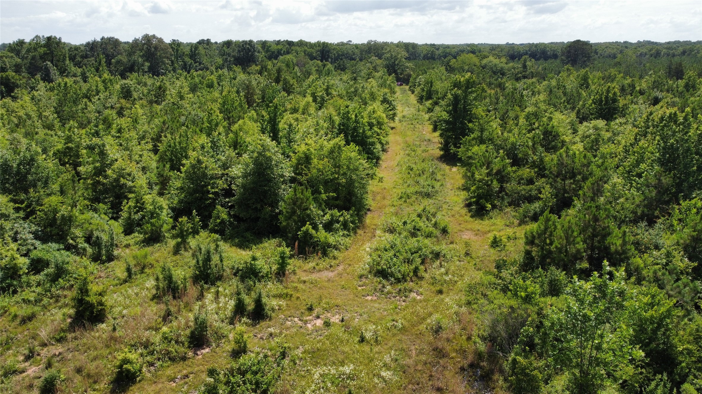 Lot 3 County Road 4507 De Kalb TX 75559