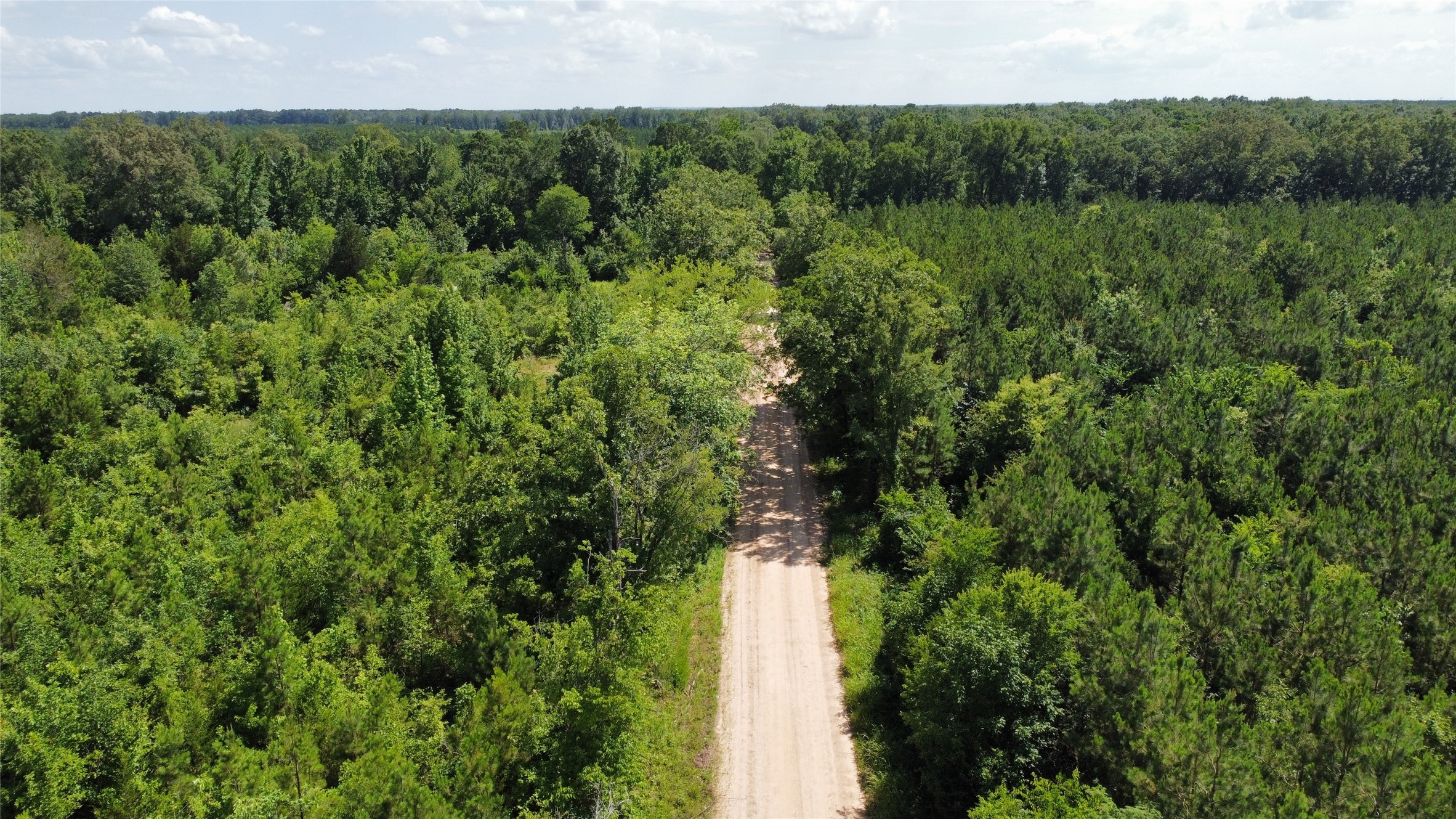 Lot 3 County Road 4507 De Kalb TX 75559