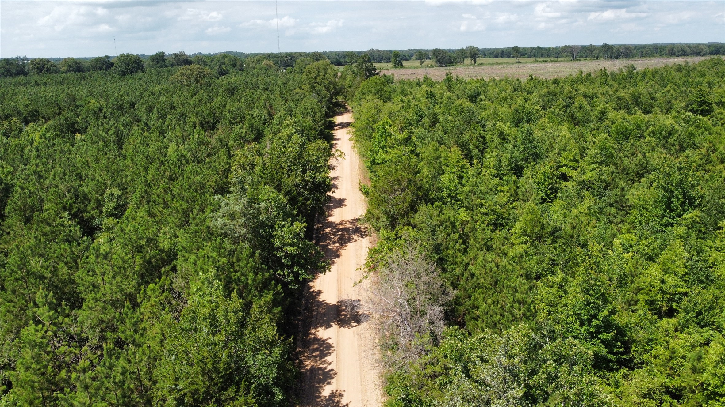 Lot 3 County Road 4507 De Kalb TX 75559