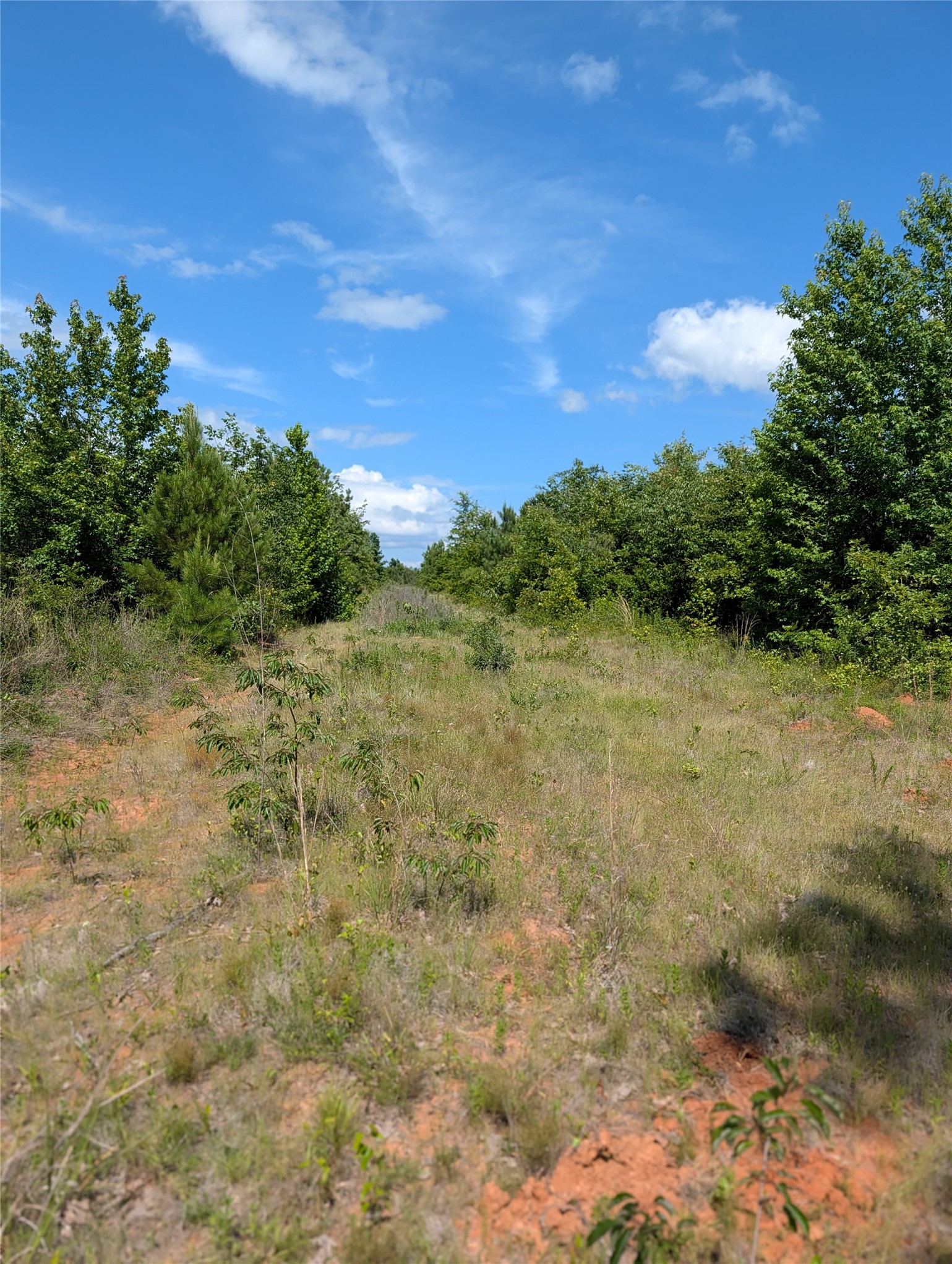 Lot 3 County Road 4507 De Kalb TX 75559