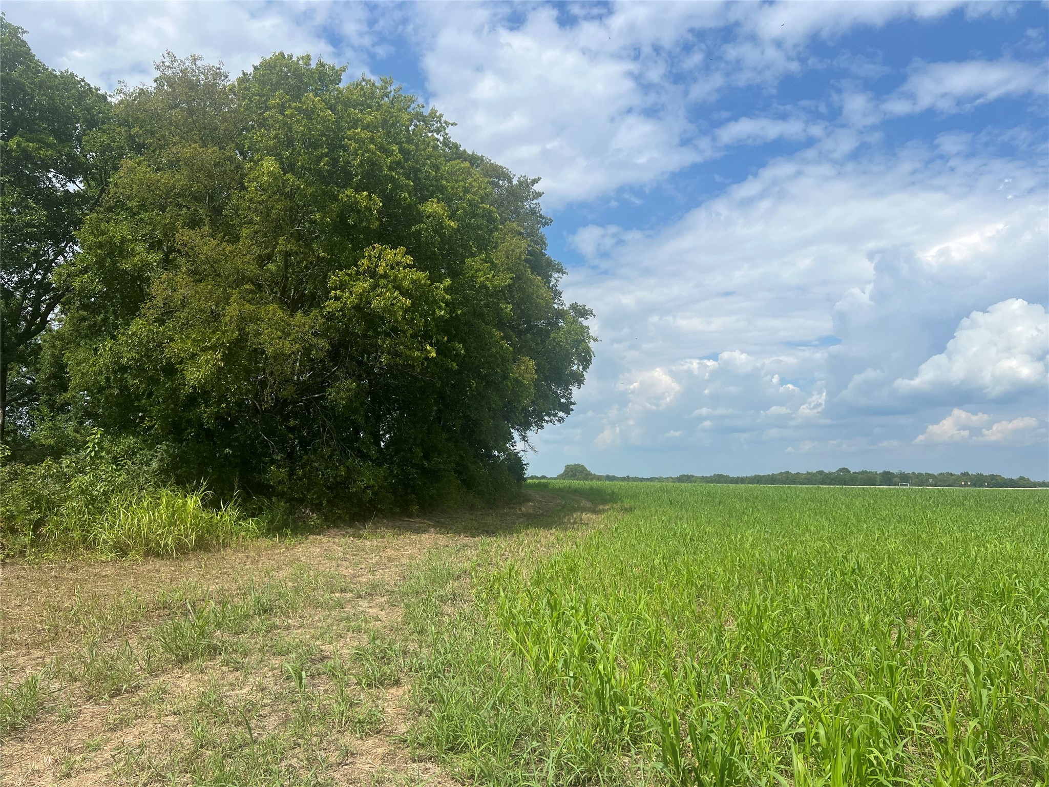 Tbd Us-82 And Fm 1743 Windom TX 75492