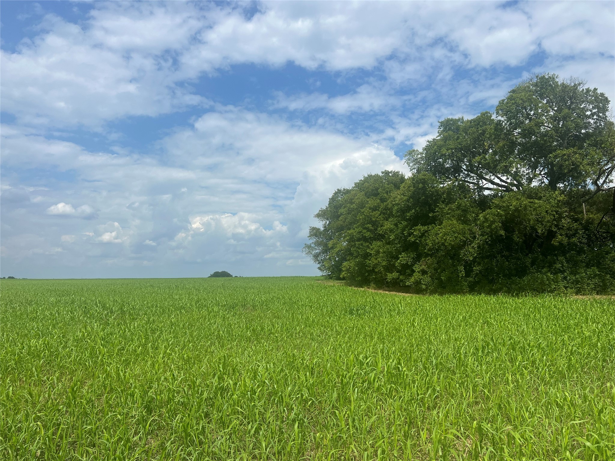 Tbd Us-82 And Fm 1743 Windom TX 75492