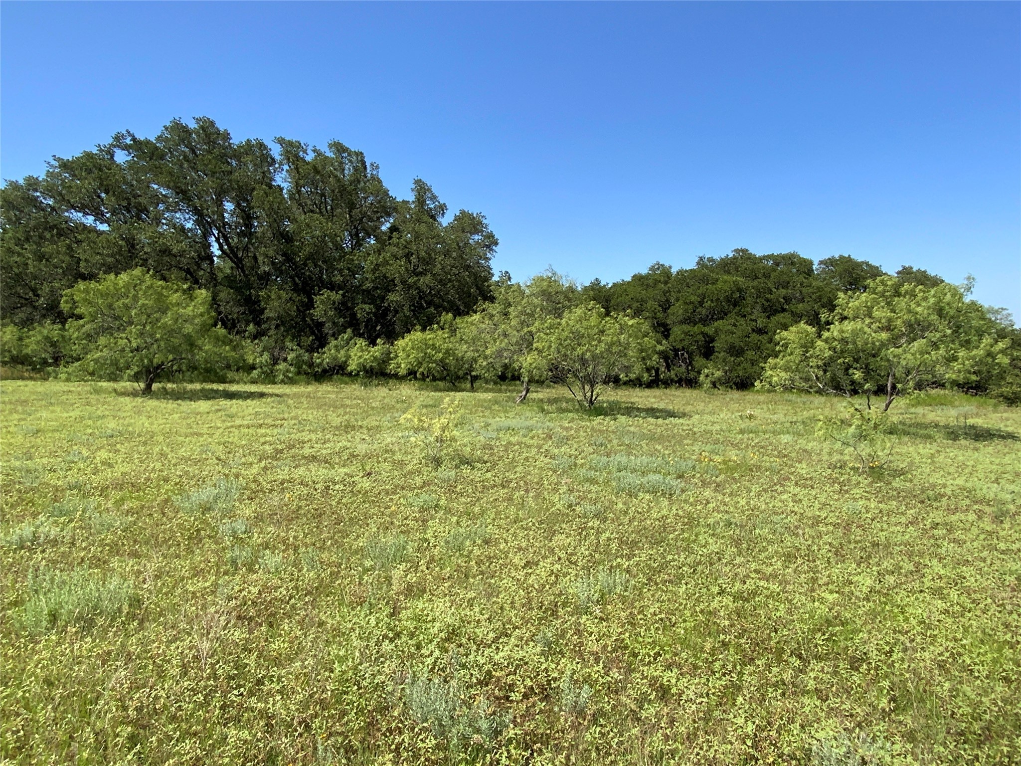 4801 Fm-1702 Gustine TX 76455