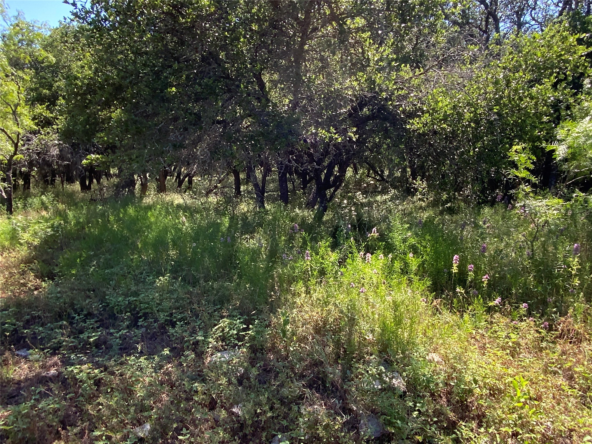 4801 Fm-1702 Gustine TX 76455