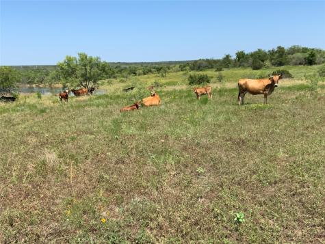 4801 Fm-1702 Gustine TX 76455