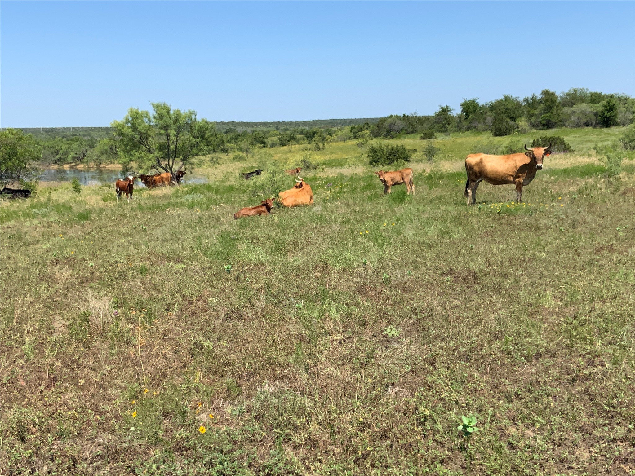 4801 Fm-1702 Gustine TX 76455