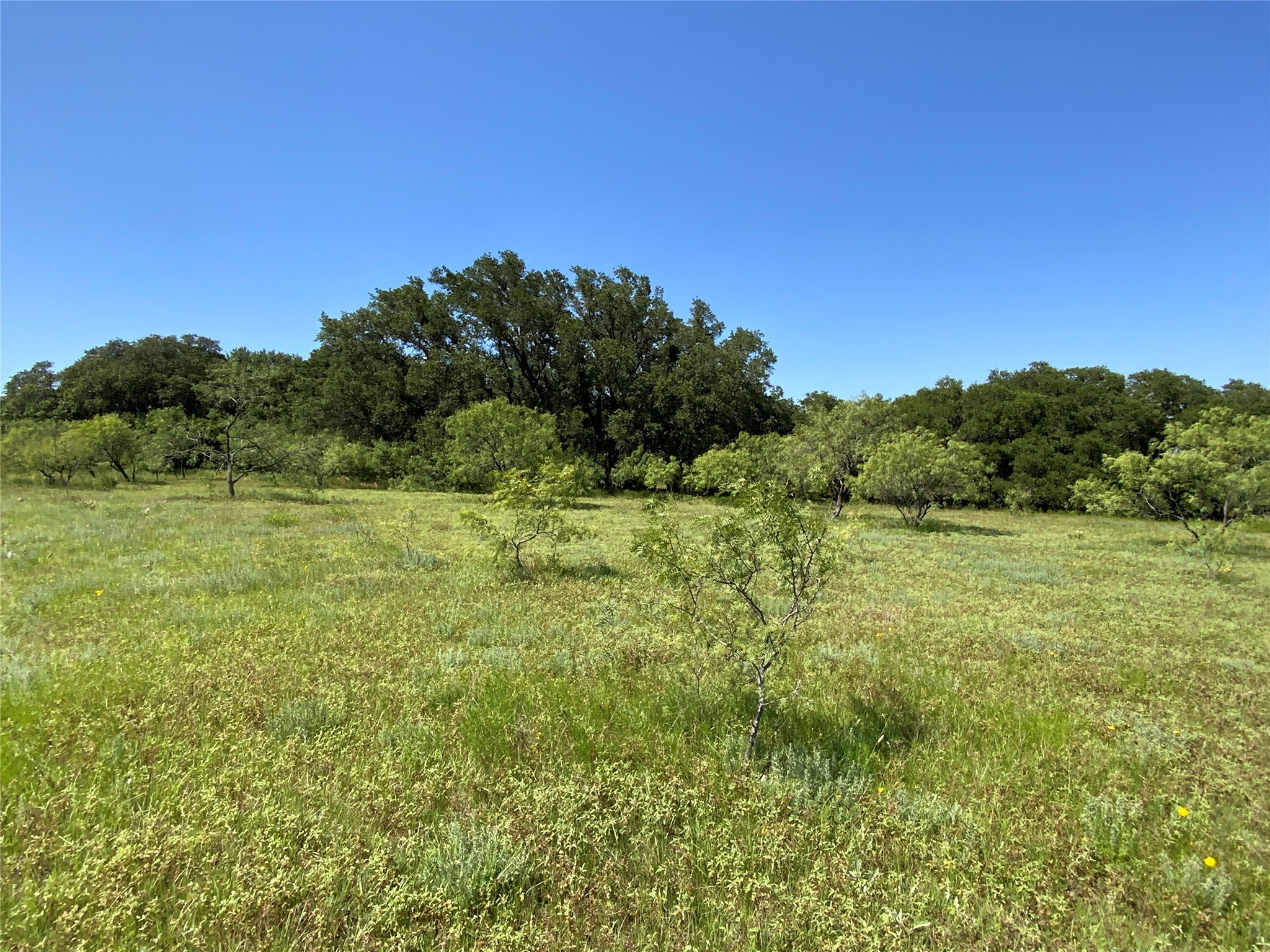 4801 Fm-1702 Gustine TX 76455