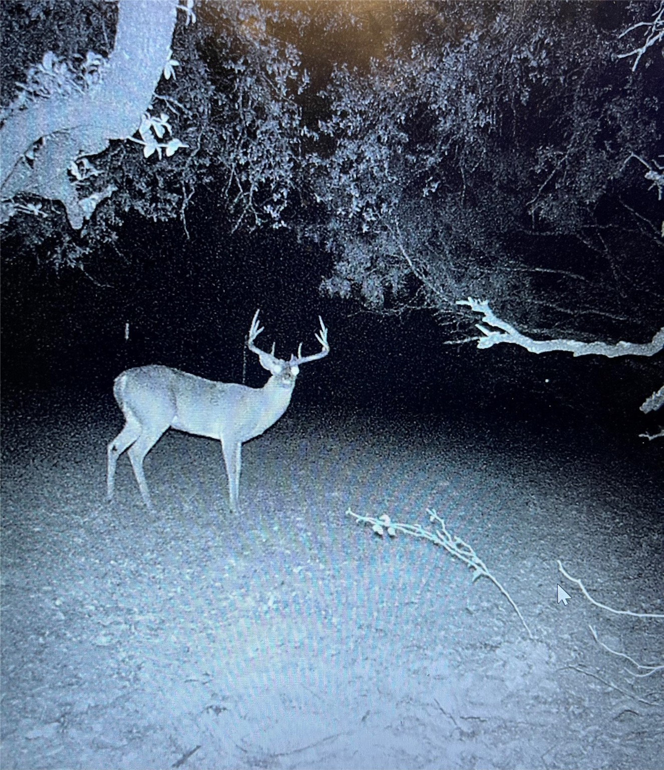 4801 Fm-1702 Gustine TX 76455
