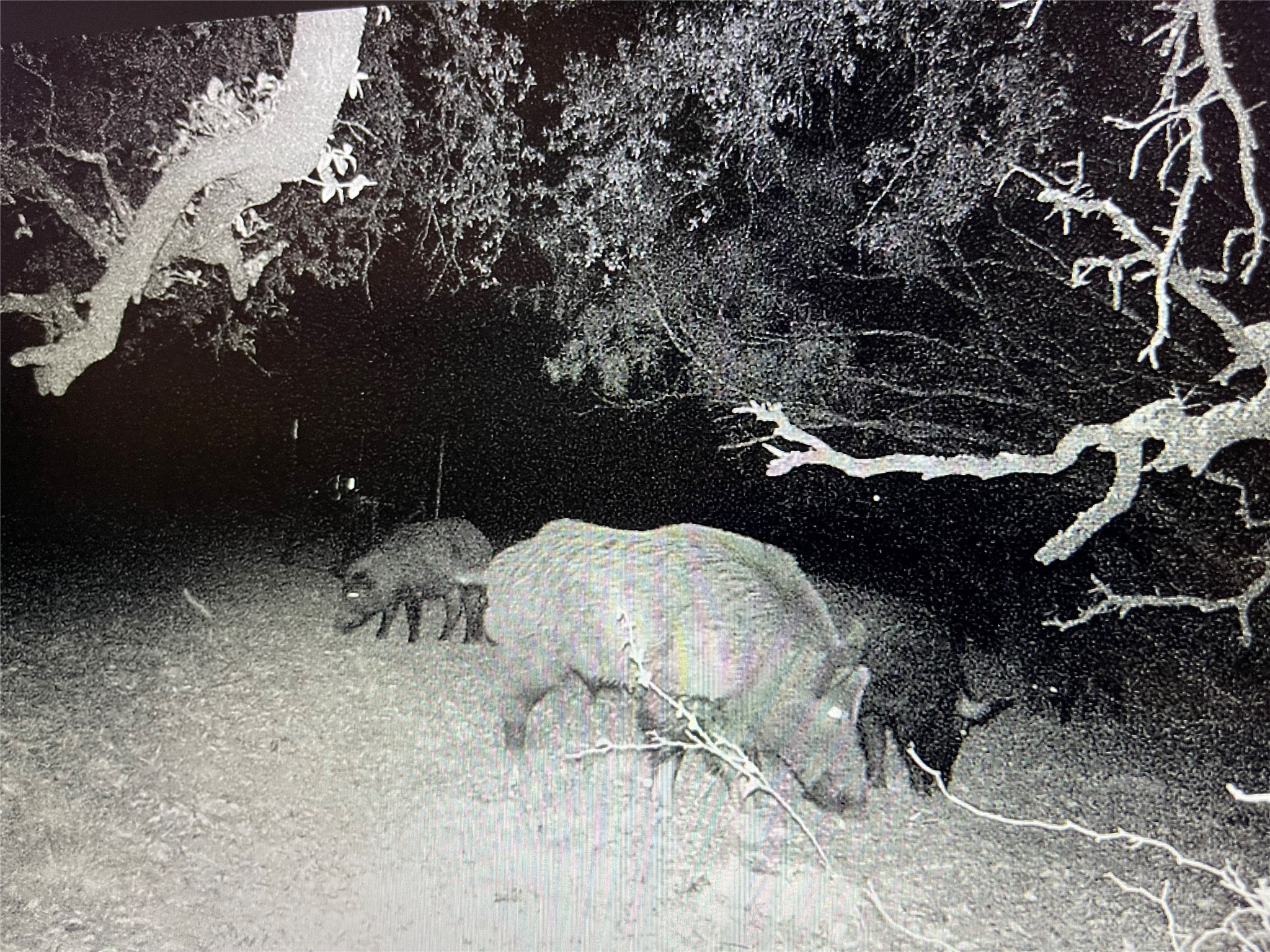 4801 Fm-1702 Gustine TX 76455