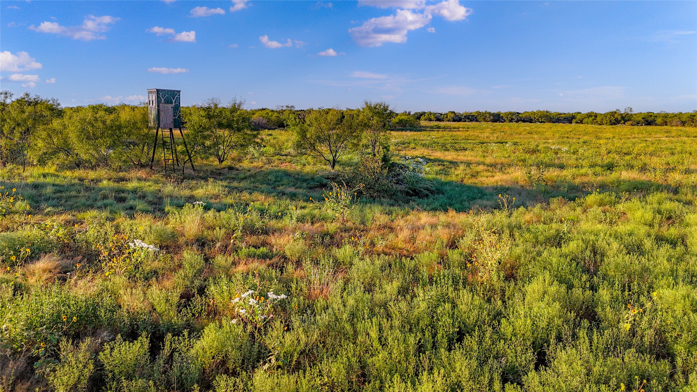 140 Mountain Drive Graford TX 76449