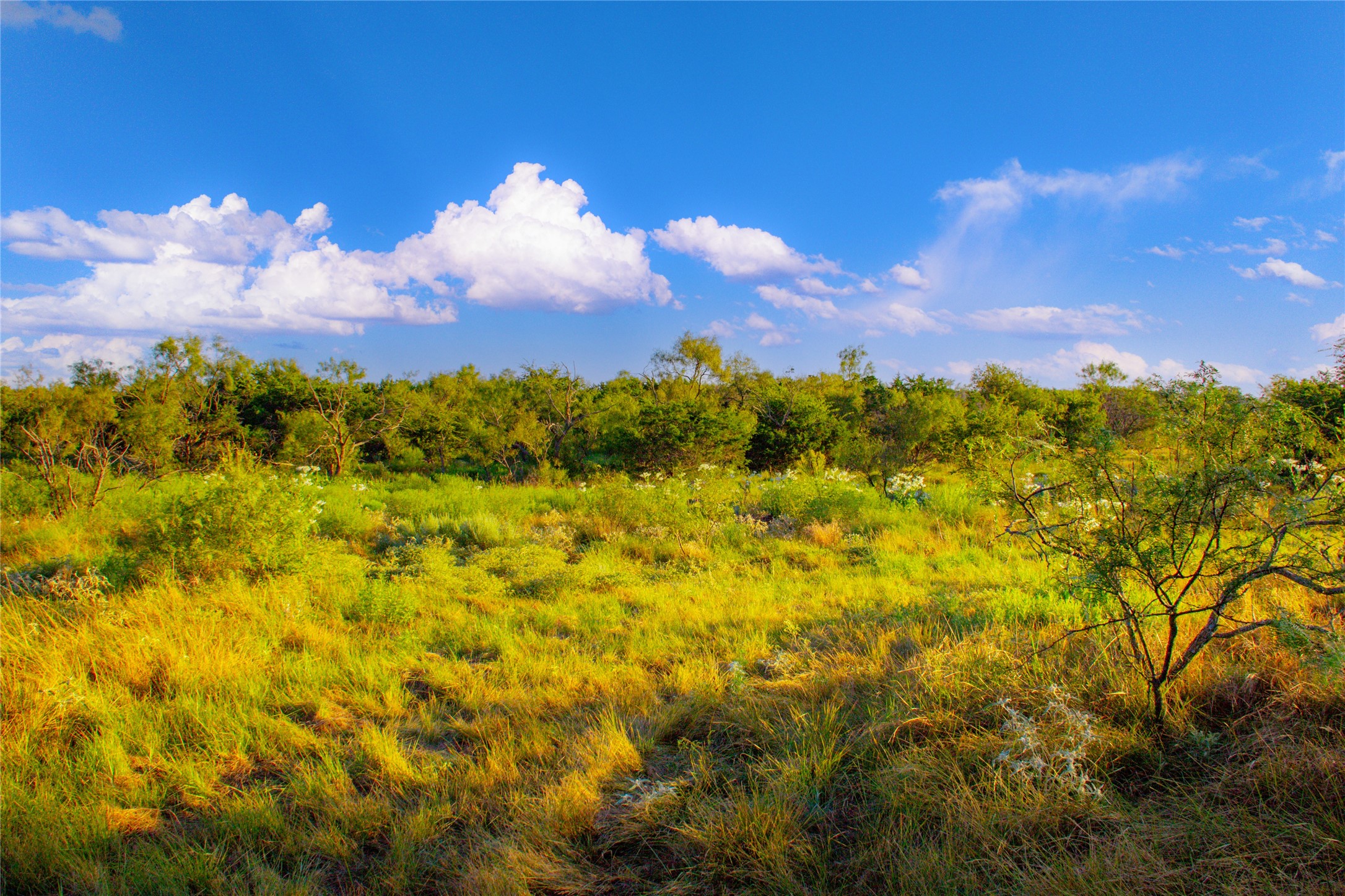 140 Mountain Drive Graford TX 76449
