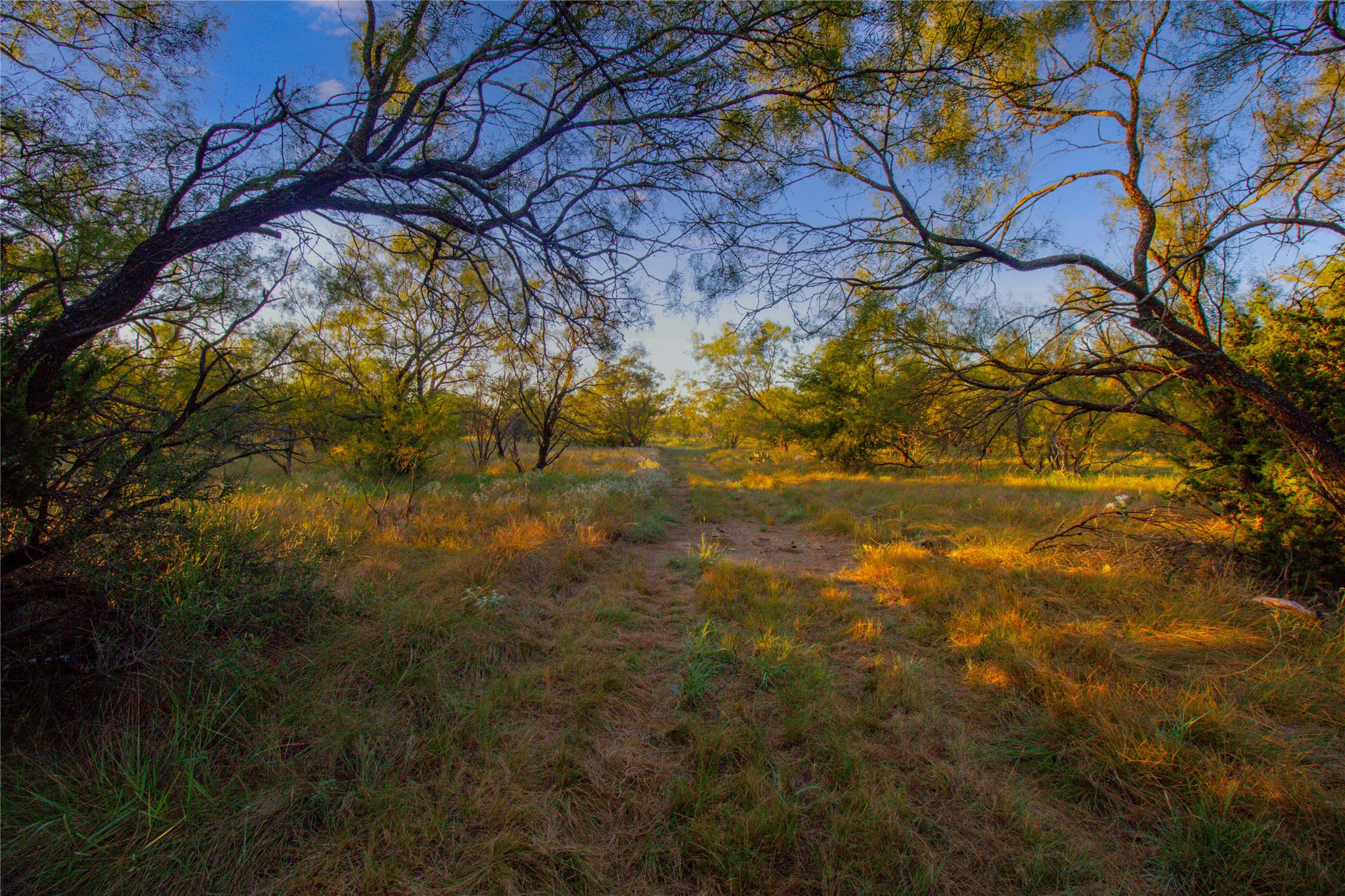 140 Mountain Drive Graford TX 76449