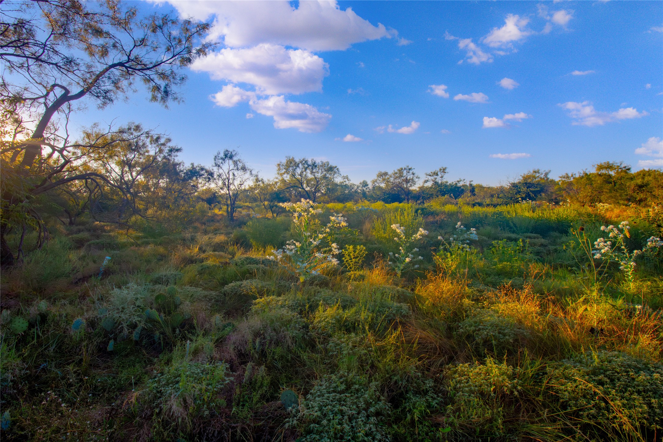 140 Mountain Drive Graford TX 76449