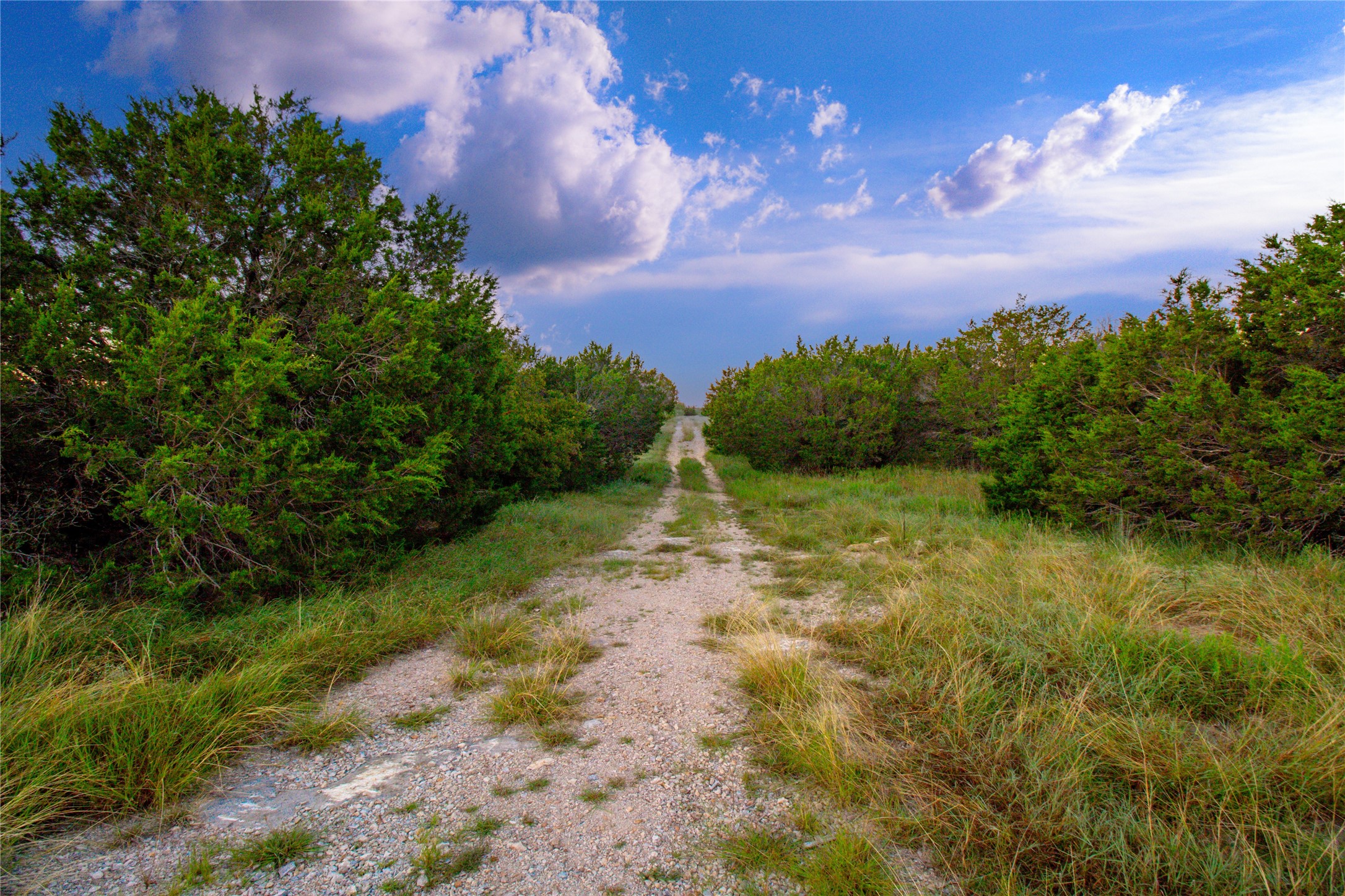 140 Mountain Drive Graford TX 76449