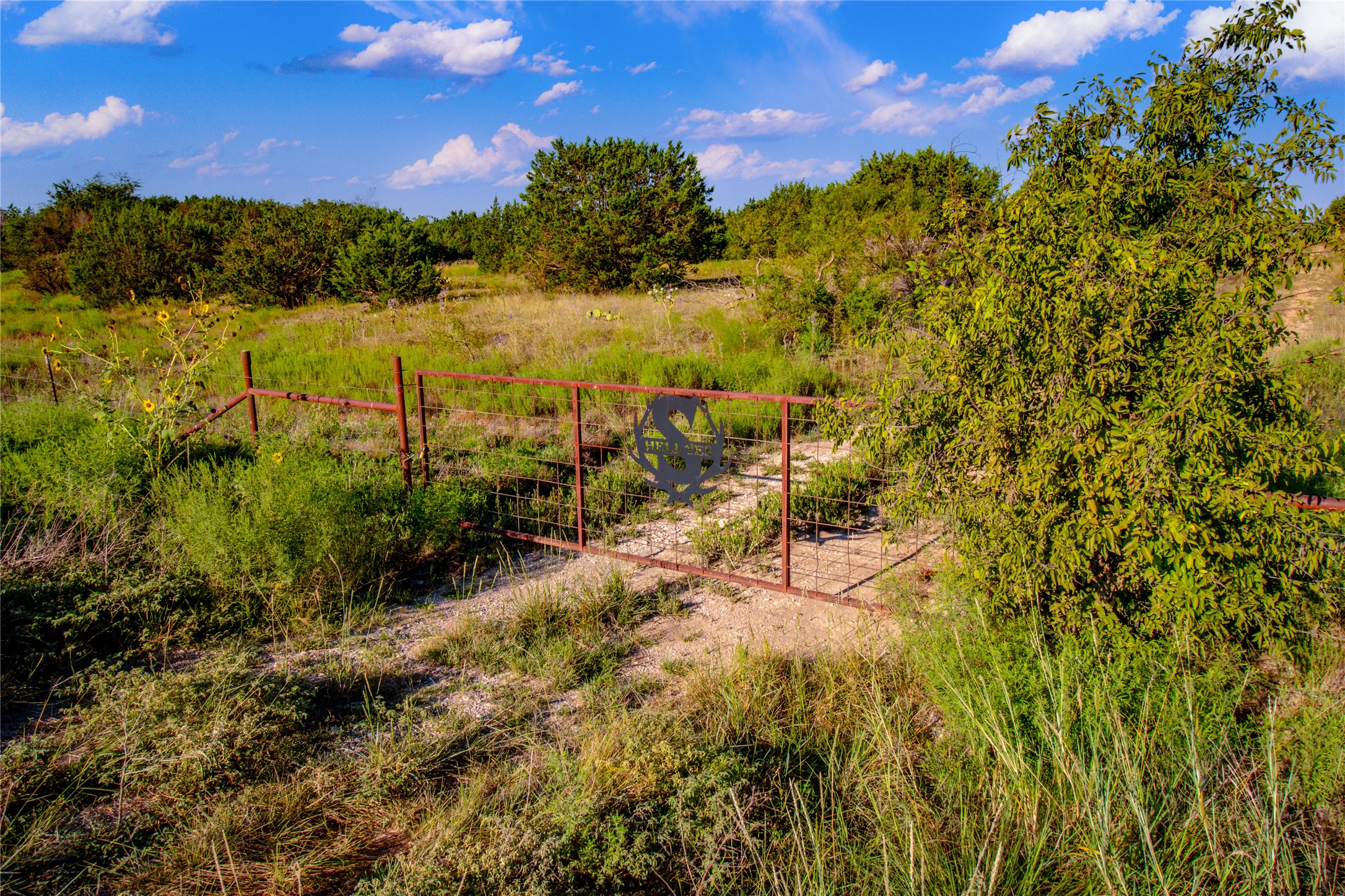 140 Mountain Drive Graford TX 76449