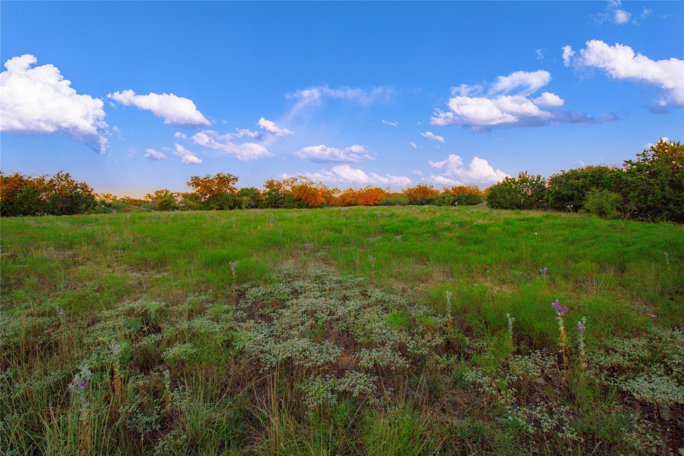 140 Mountain Drive Graford TX 76449