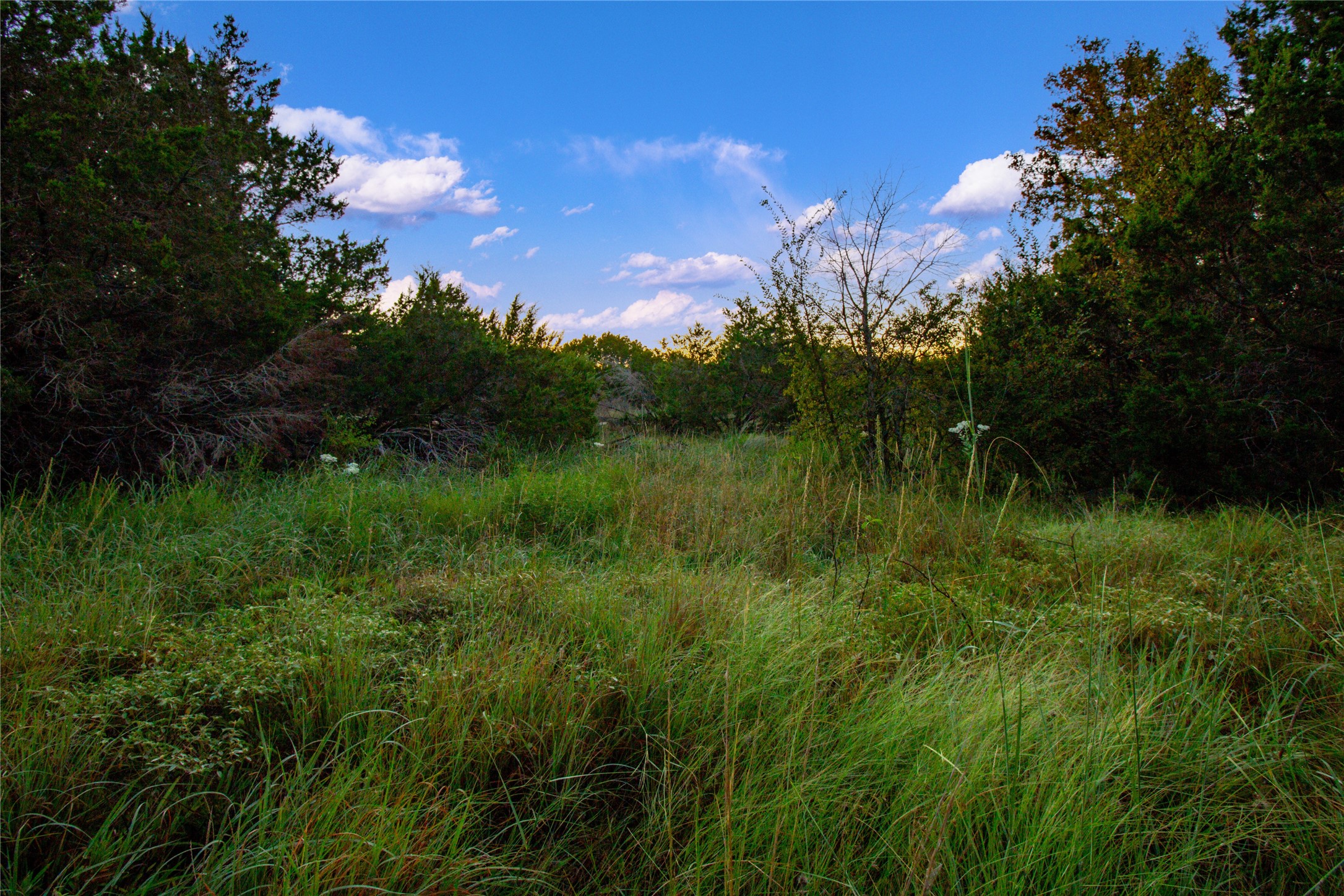 140 Mountain Drive Graford TX 76449