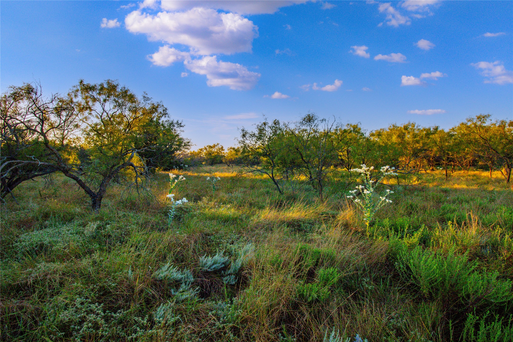 140 Mountain Drive Graford TX 76449
