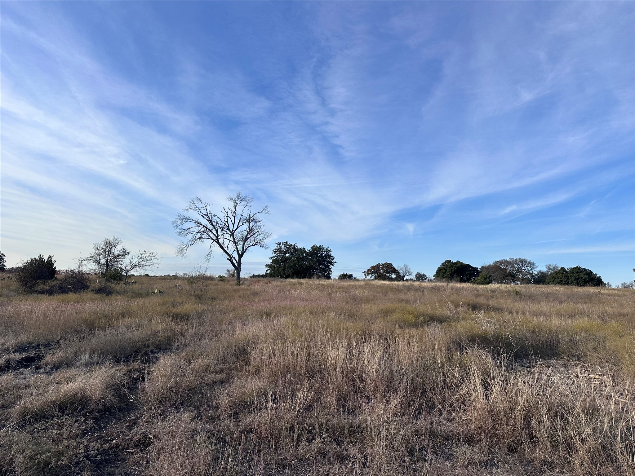 245 Grand Canyon Drive Oglesby TX 76561