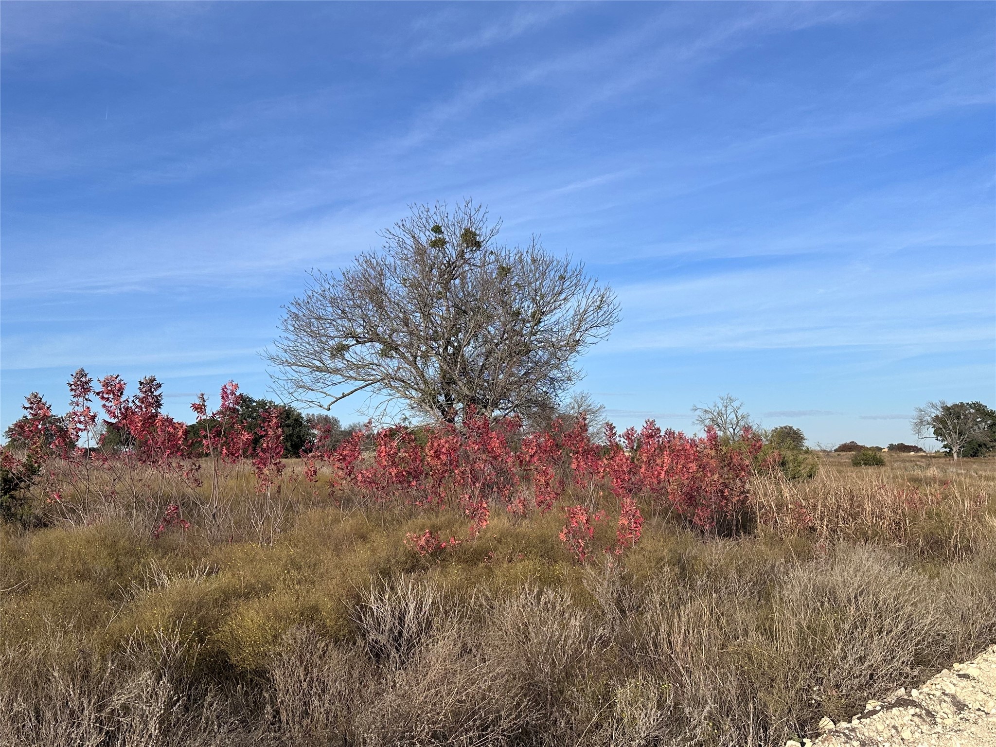 245 Grand Canyon Drive Oglesby TX 76561