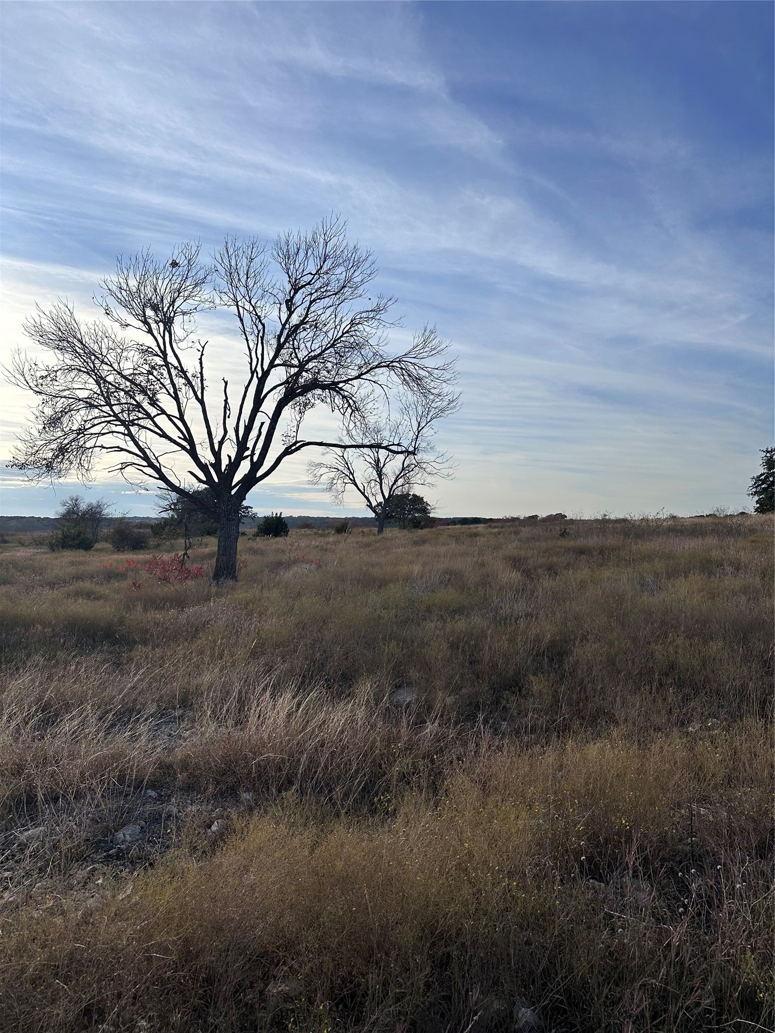 245 Grand Canyon Drive Oglesby TX 76561