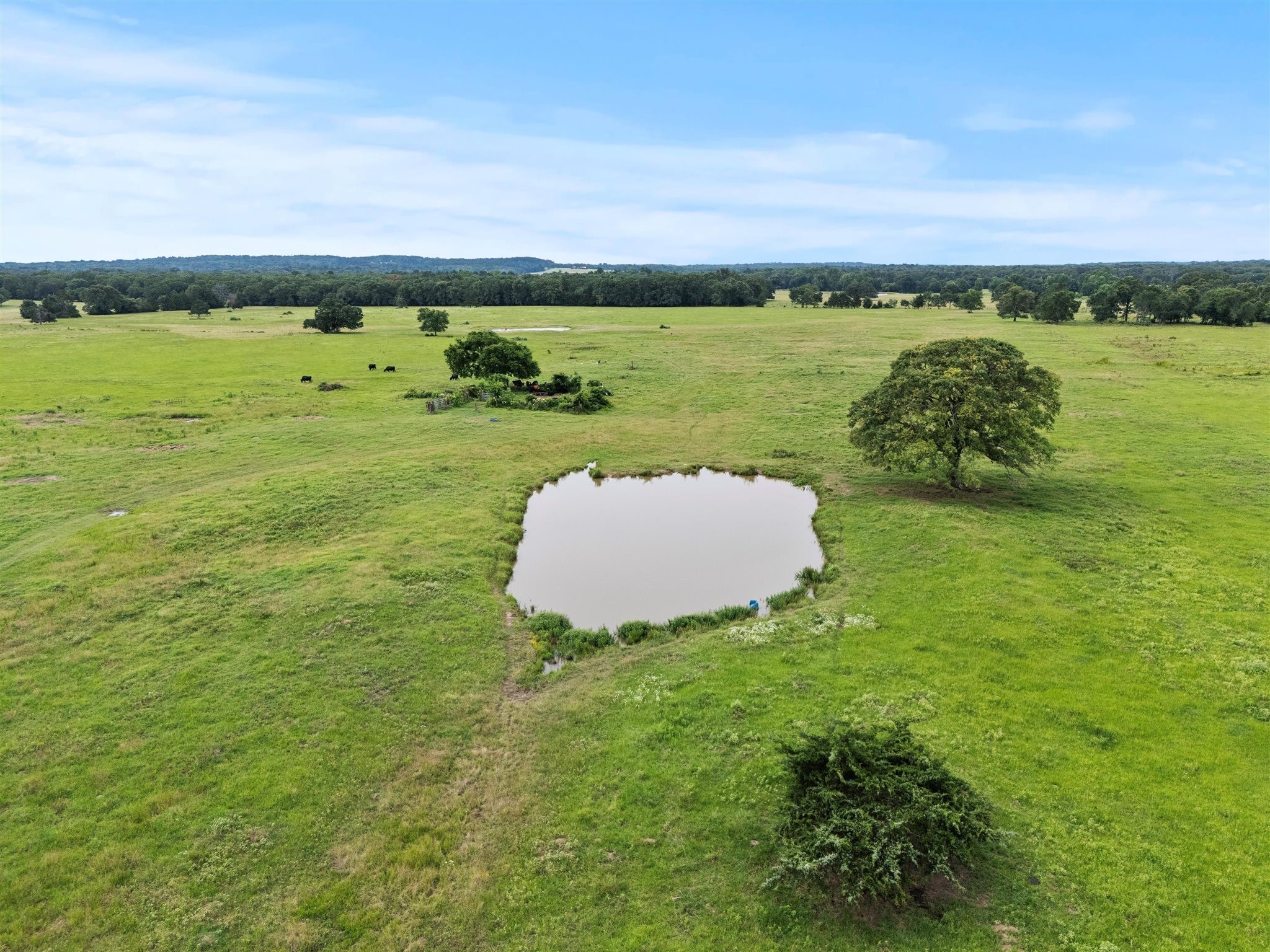 0000 Vz Cr 4607 Road Ben Wheeler TX 75754