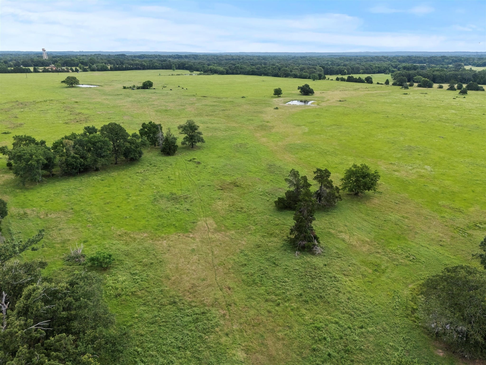0000 Vz Cr 4607 Road Ben Wheeler TX 75754