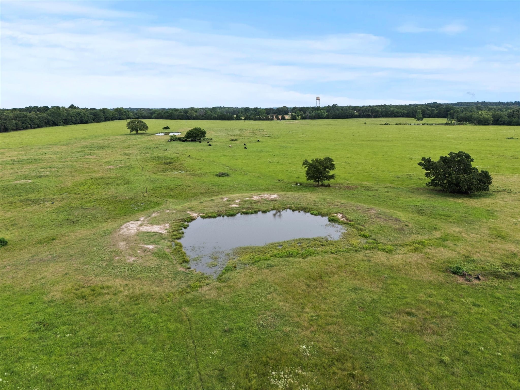 0000 Vz Cr 4607 Road Ben Wheeler TX 75754