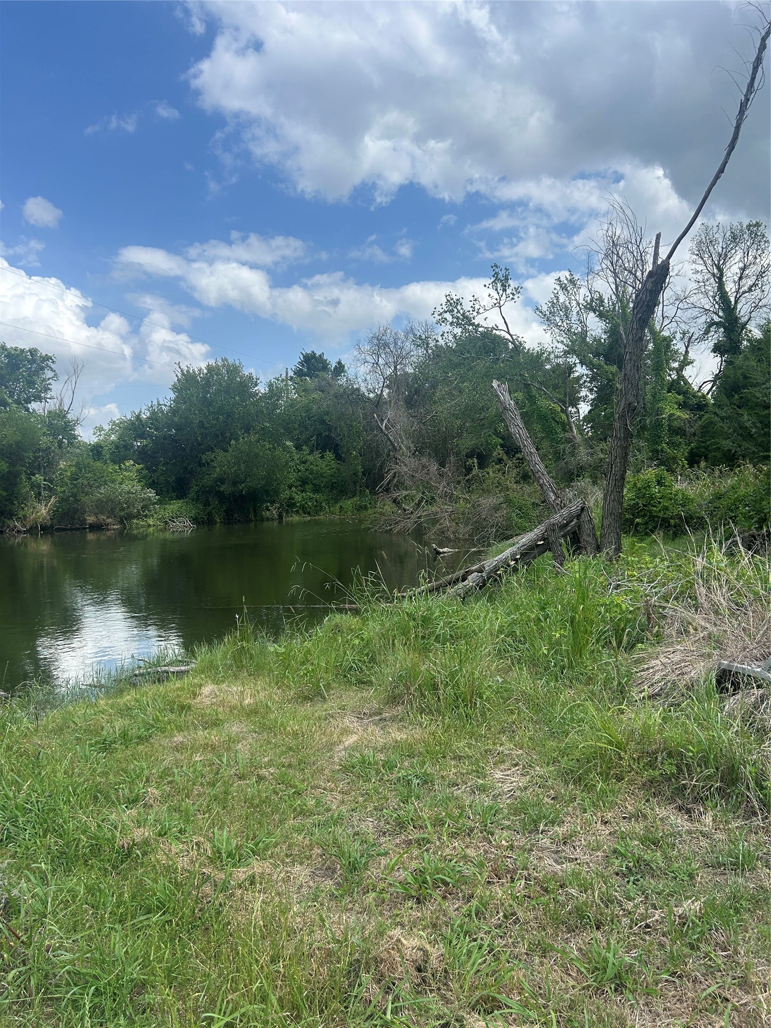 2517 State Highway 31 Hubbard TX 76648