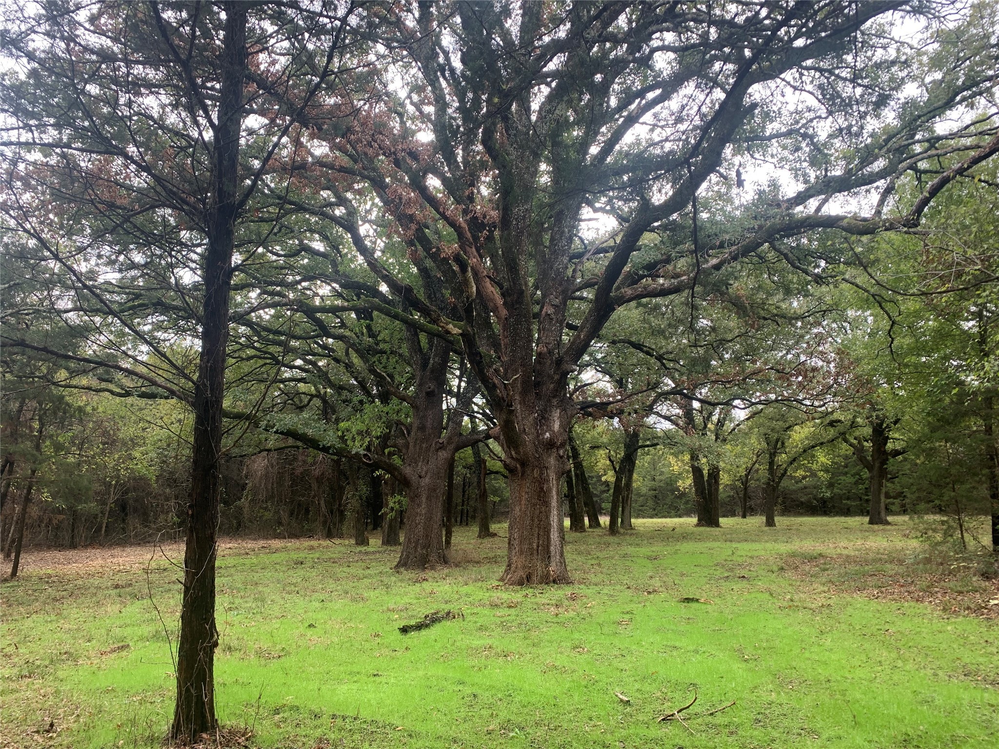 Tbd County Road 2226 Caddo Mills TX 75135