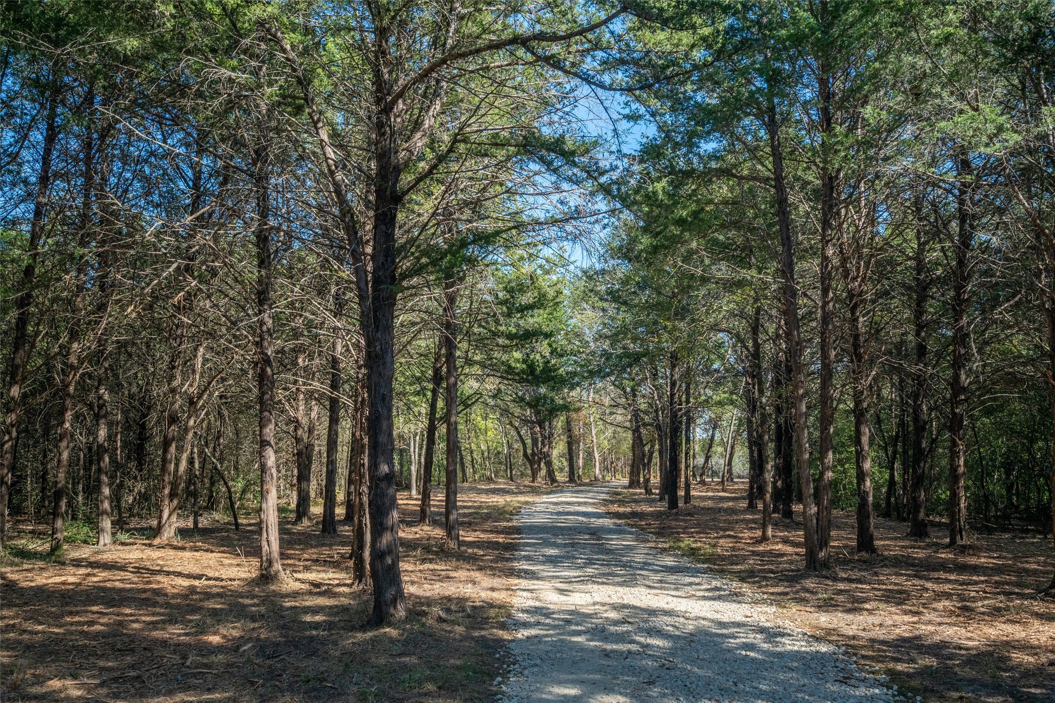 Tbd County Road 2226 Caddo Mills TX 75135