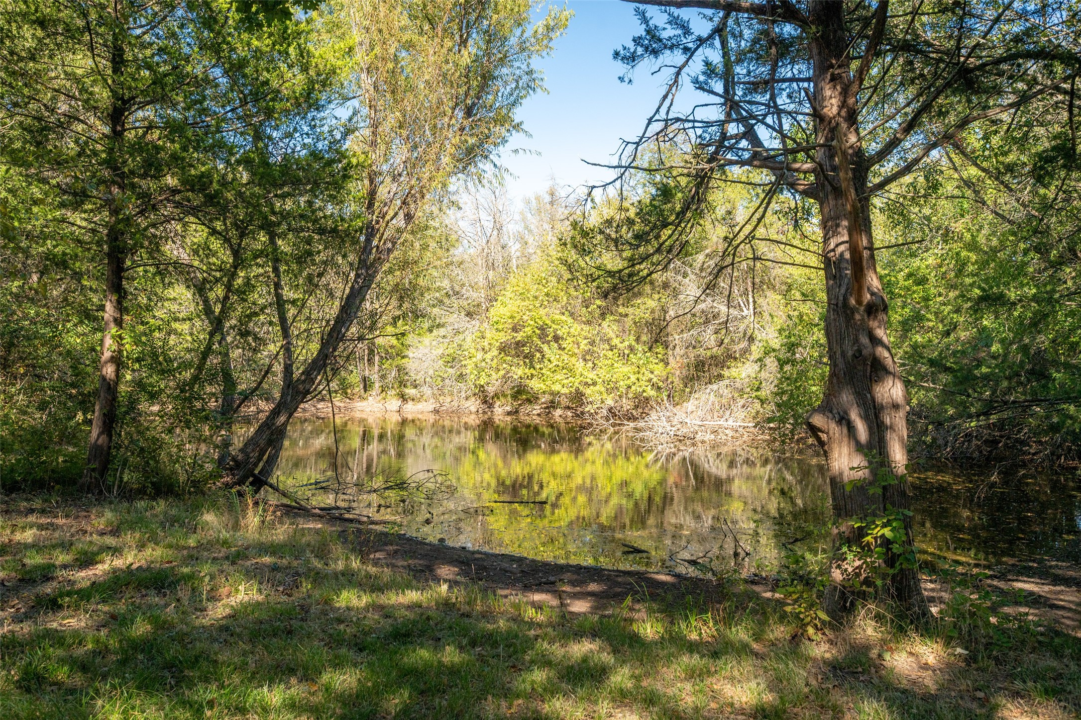 Tbd County Road 2226 Caddo Mills TX 75135