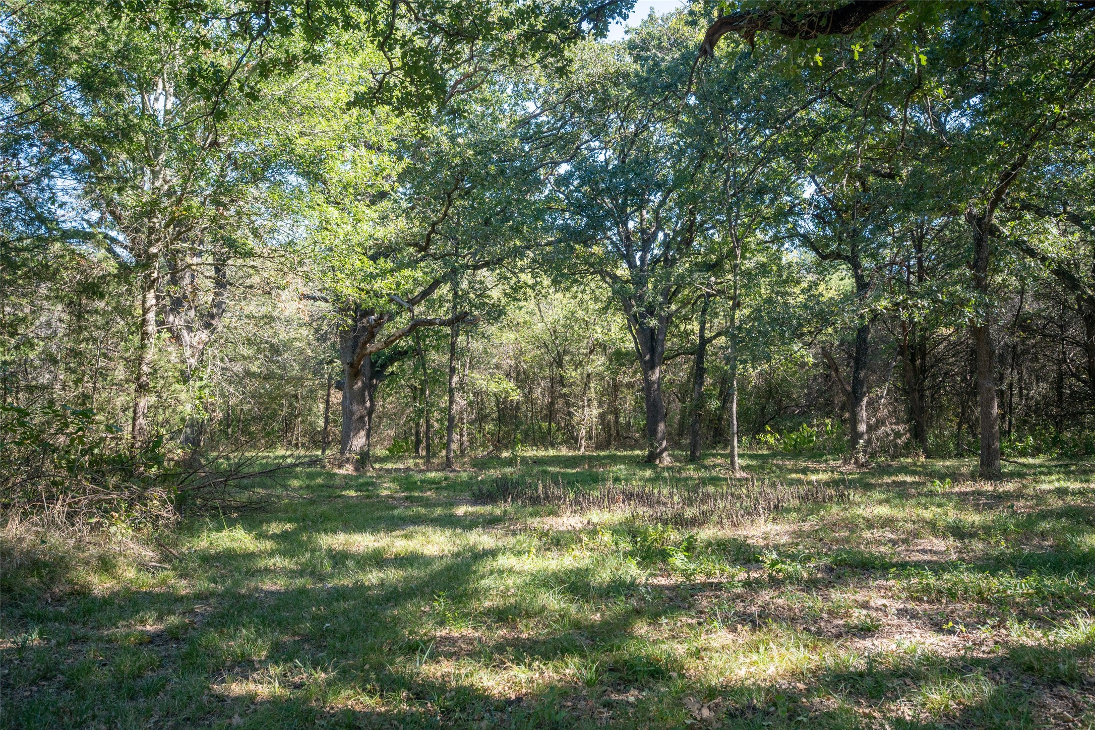 Tbd County Road 2226 Caddo Mills TX 75135