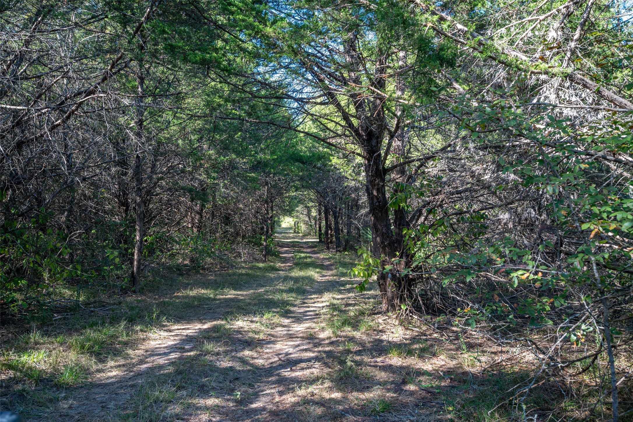 Tbd County Road 2226 Caddo Mills TX 75135