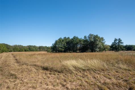 Tbd County Road 2226 Caddo Mills TX 75135