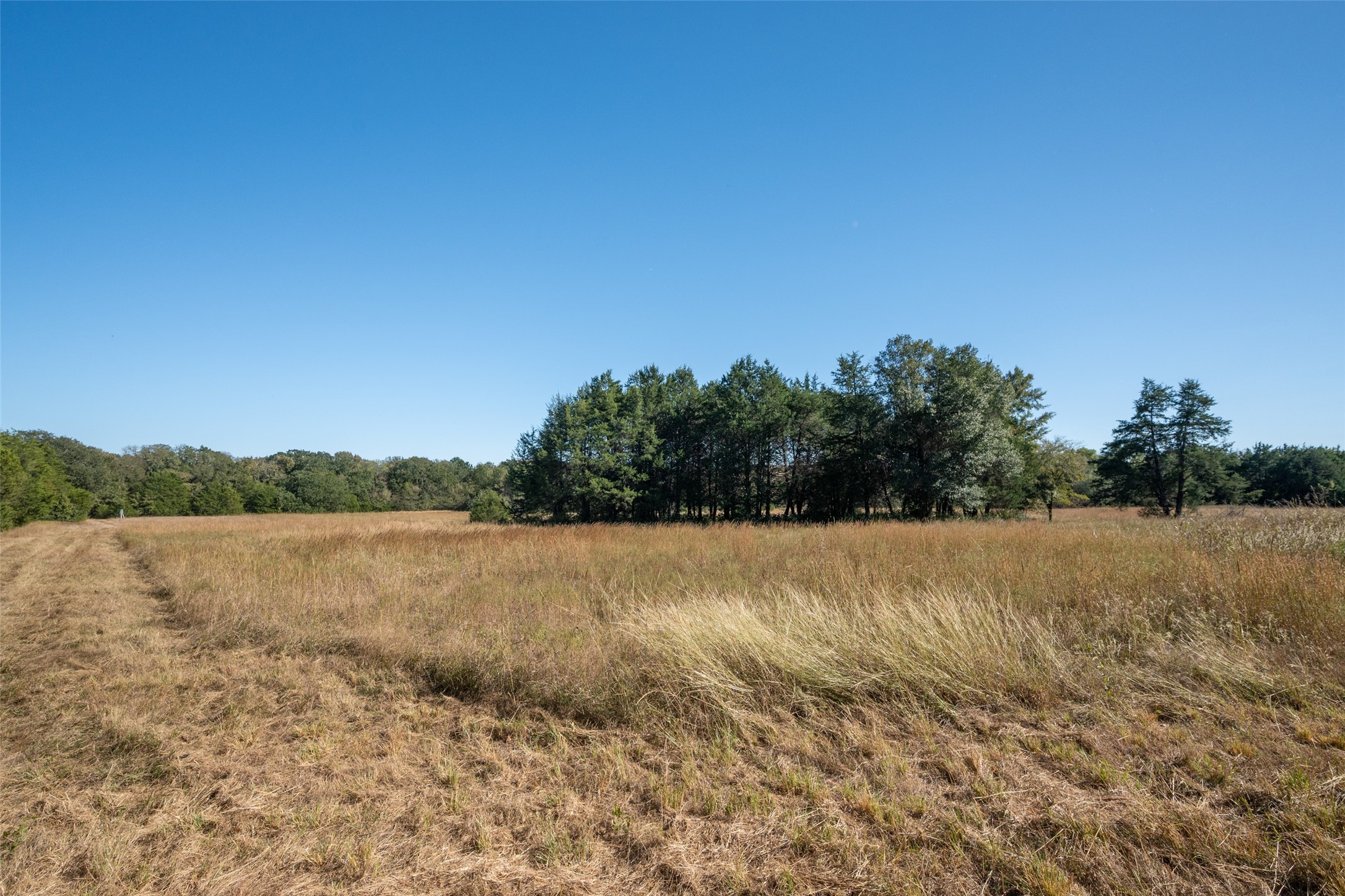 Tbd County Road 2226 Caddo Mills TX 75135