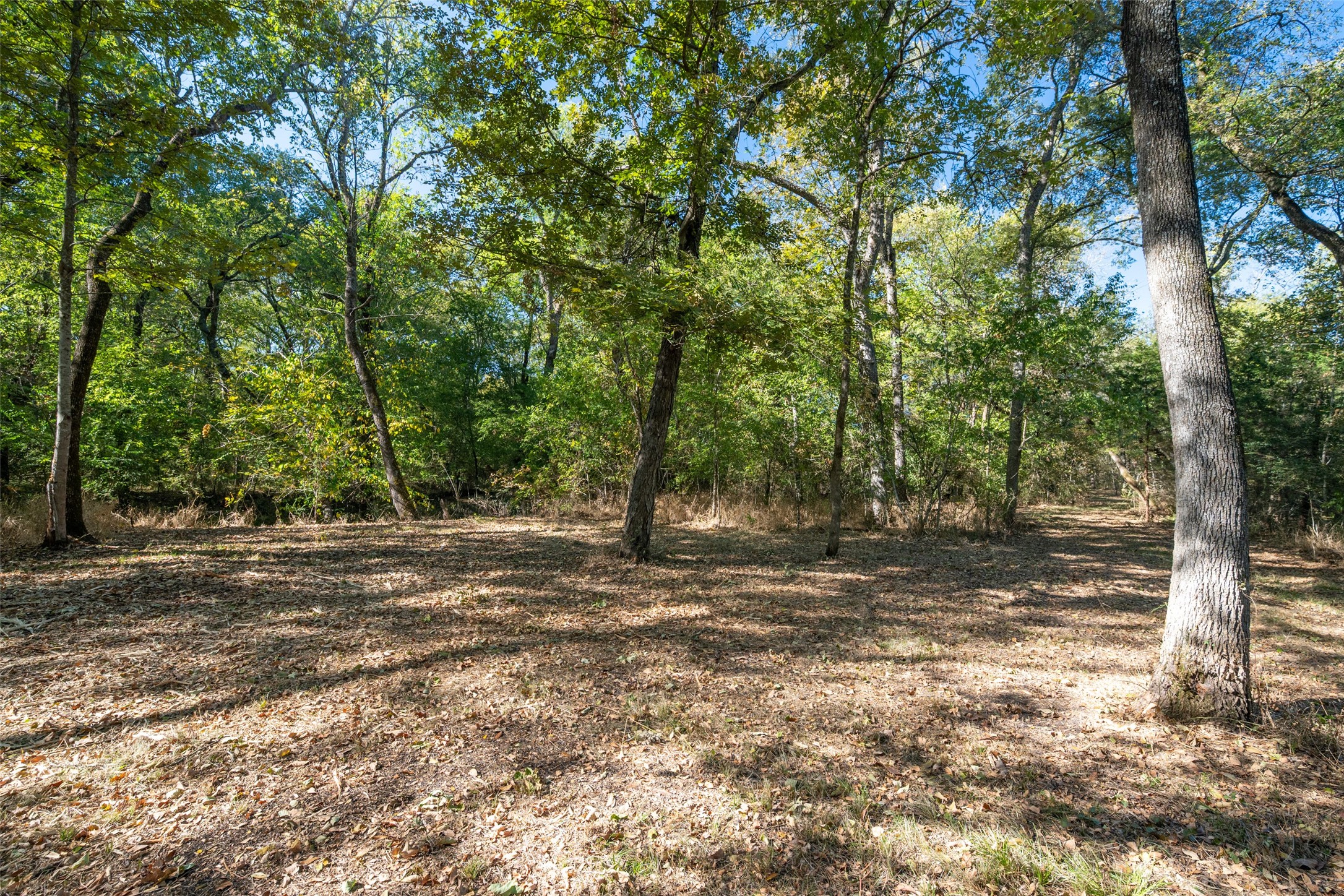 Tbd County Road 2226 Caddo Mills TX 75135