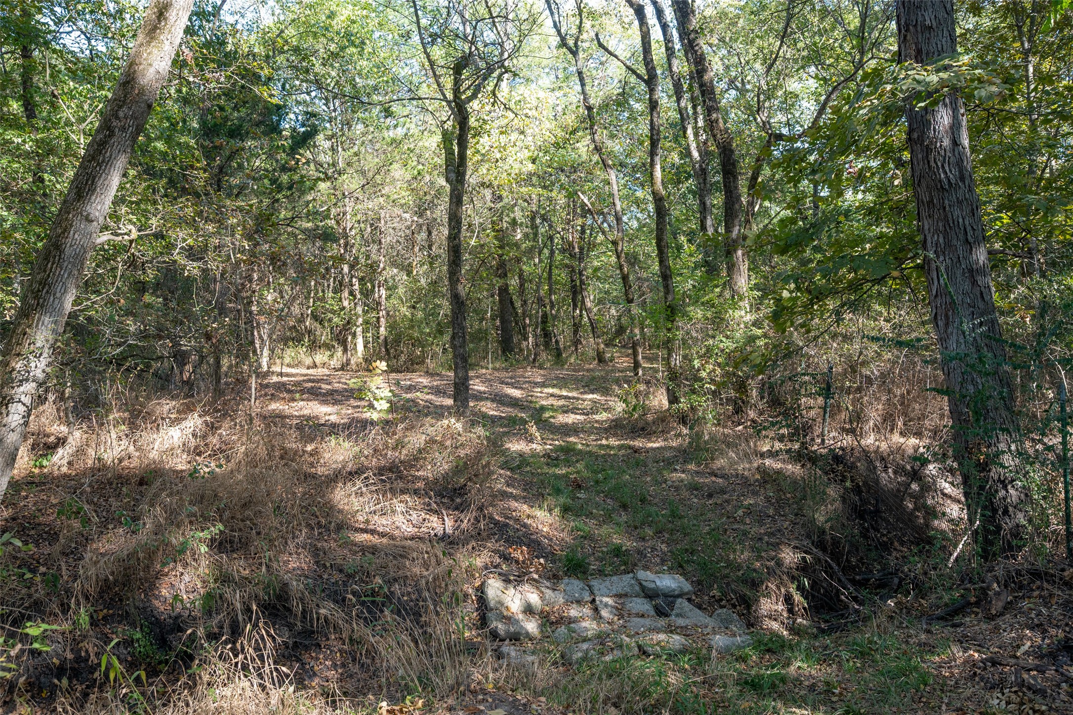 Tbd County Road 2226 Caddo Mills TX 75135