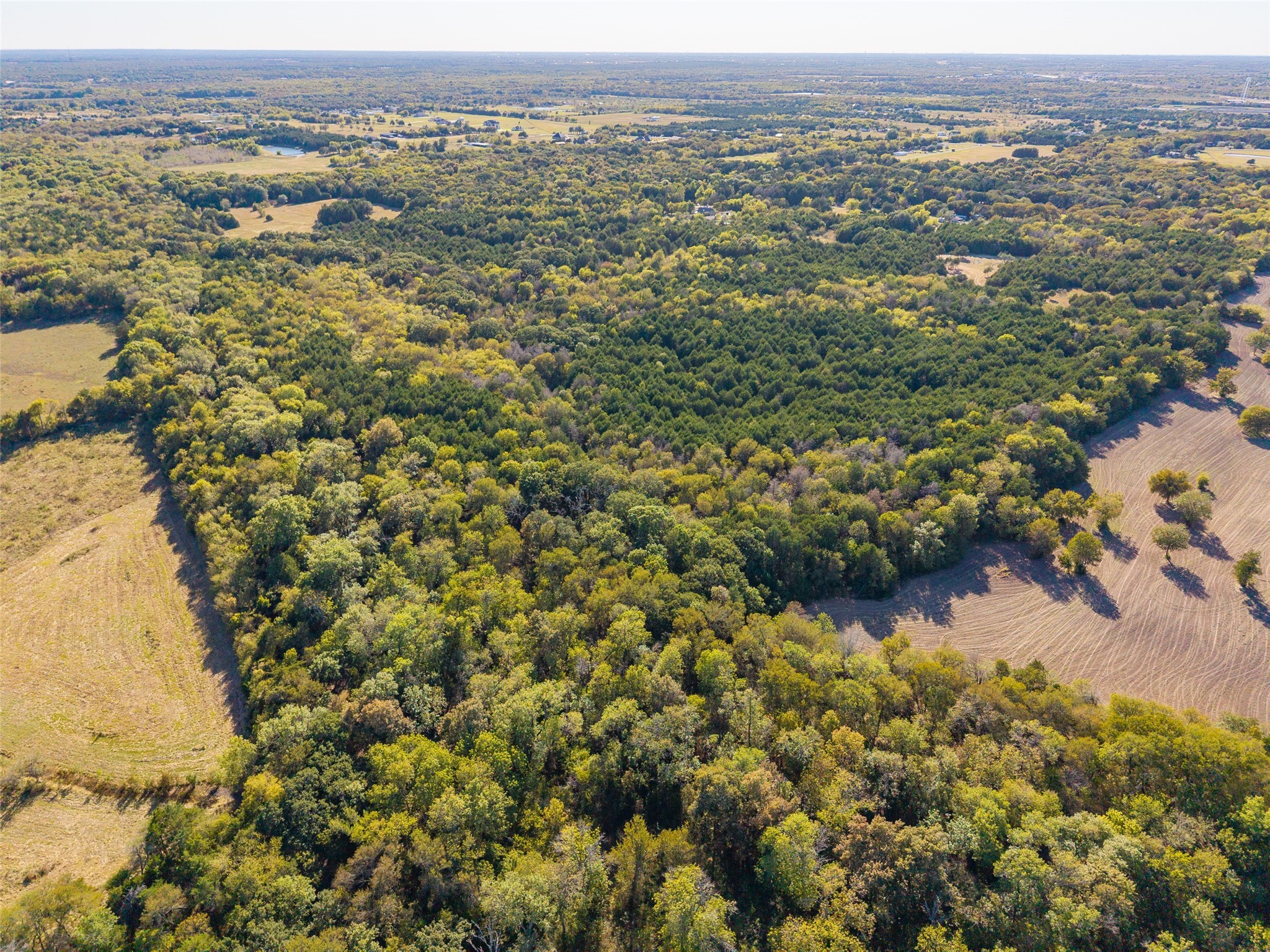 Tbd County Road 2226 Caddo Mills TX 75135