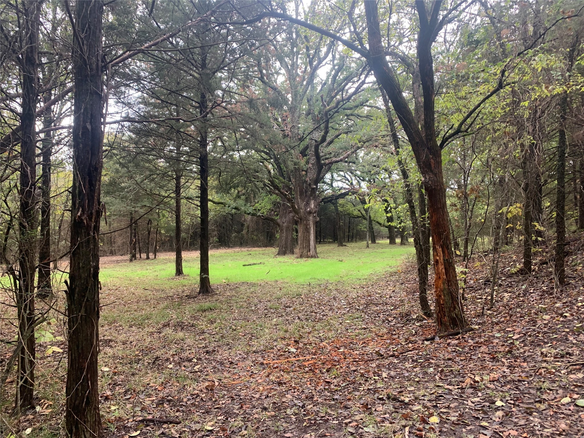 Tbd County Road 2226 Caddo Mills TX 75135