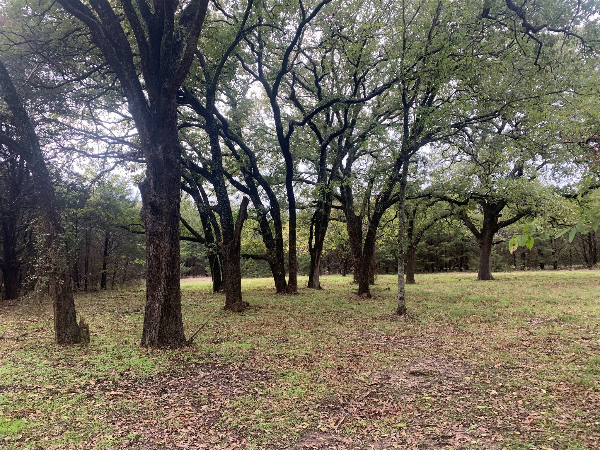 Tbd County Road 2226 Caddo Mills TX 75135