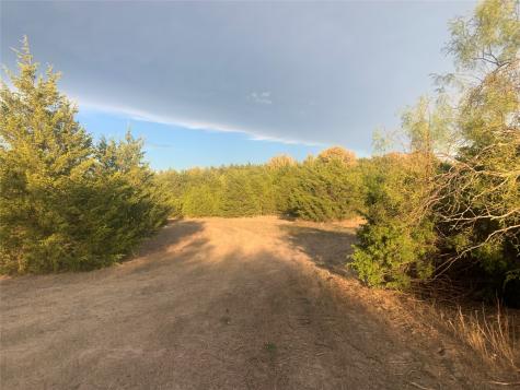 Tbd County Road 2226 Caddo Mills TX 75135