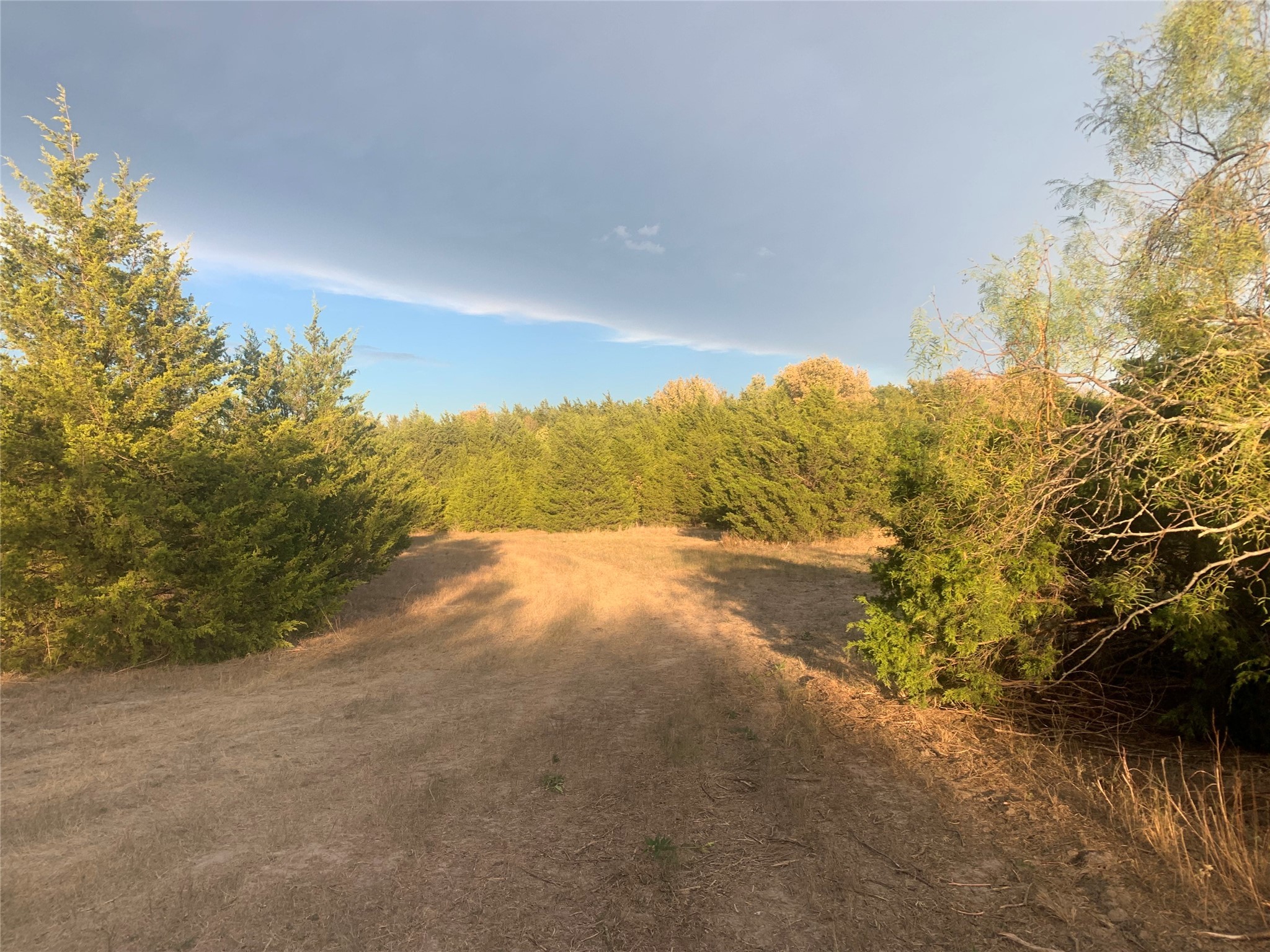 Tbd County Road 2226 Caddo Mills TX 75135