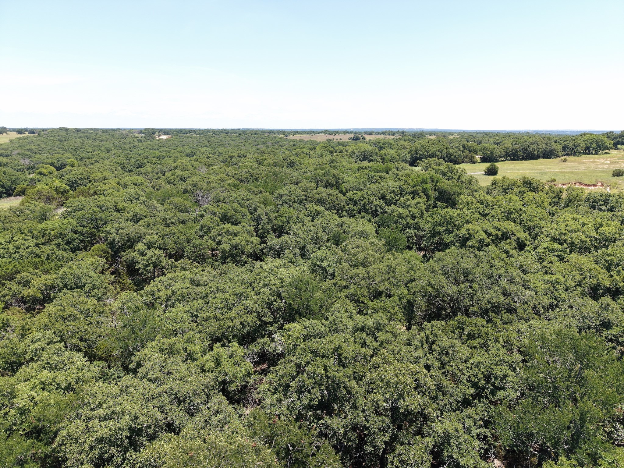 Tbd Turkey Court Perrin TX 76449