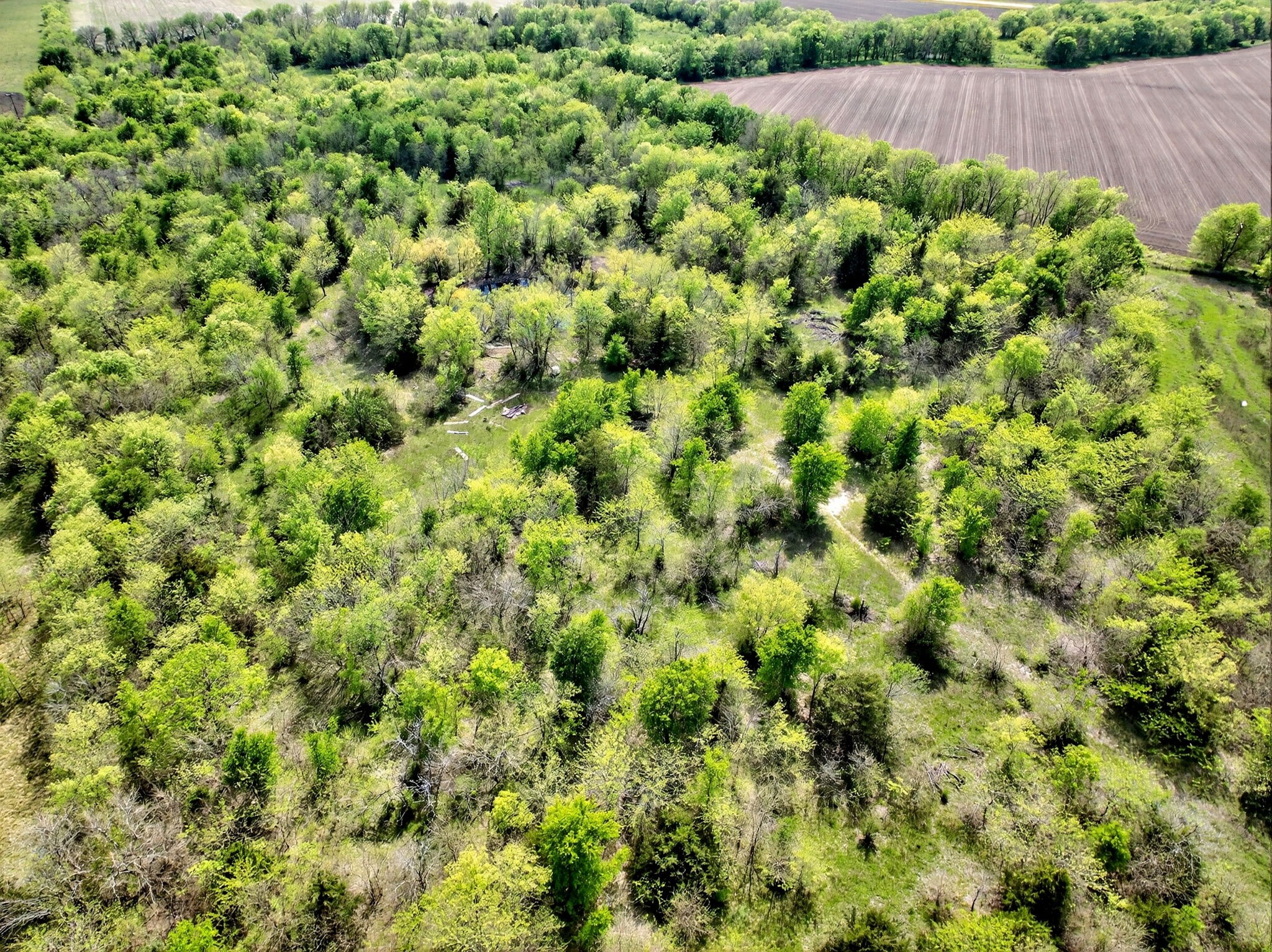 20.45 Acres Fm-2068 Commerce TX 75428