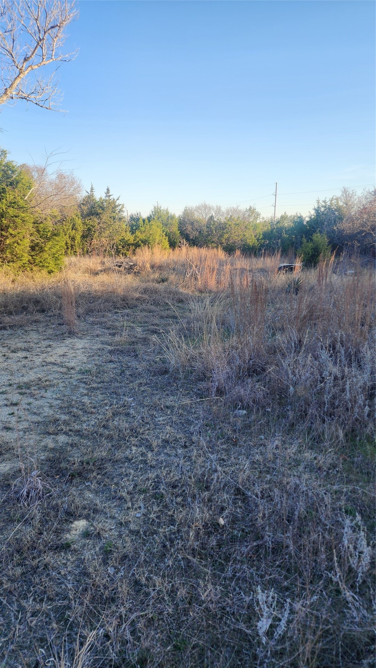 905 Zion Hill Road Weatherford TX 76088