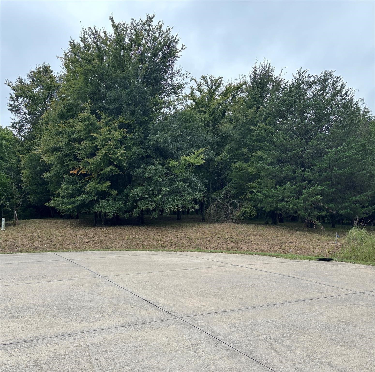 2099 Parkview Drive Wills Point TX 75169
