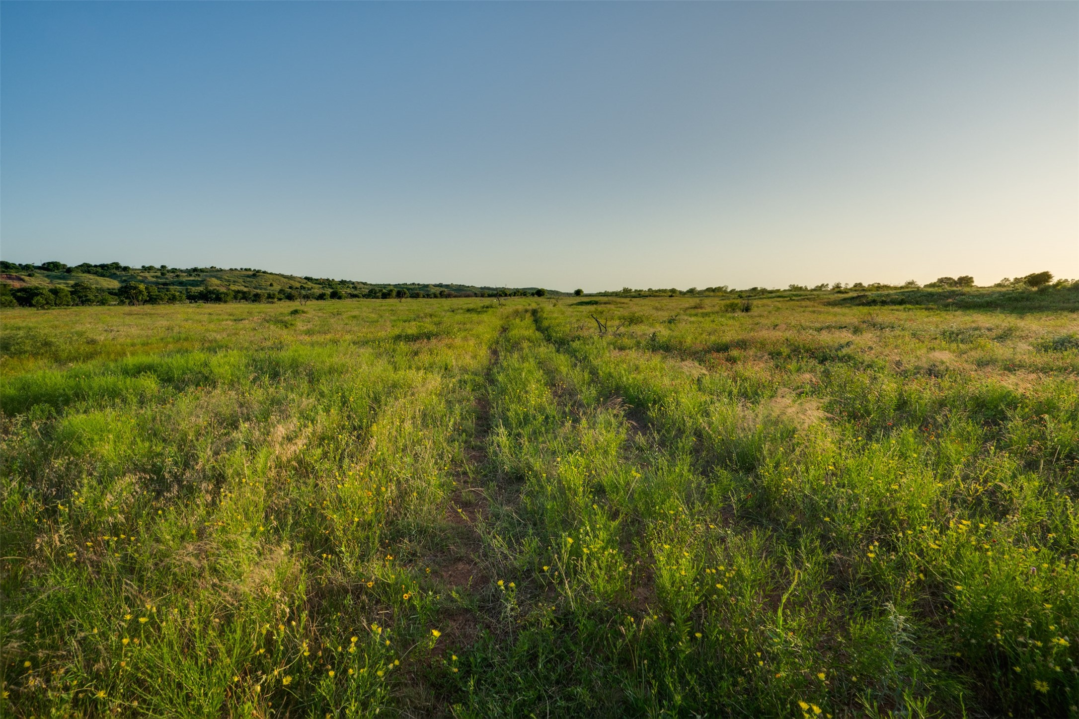3396 River Bottom Road Burkburnett TX 76354