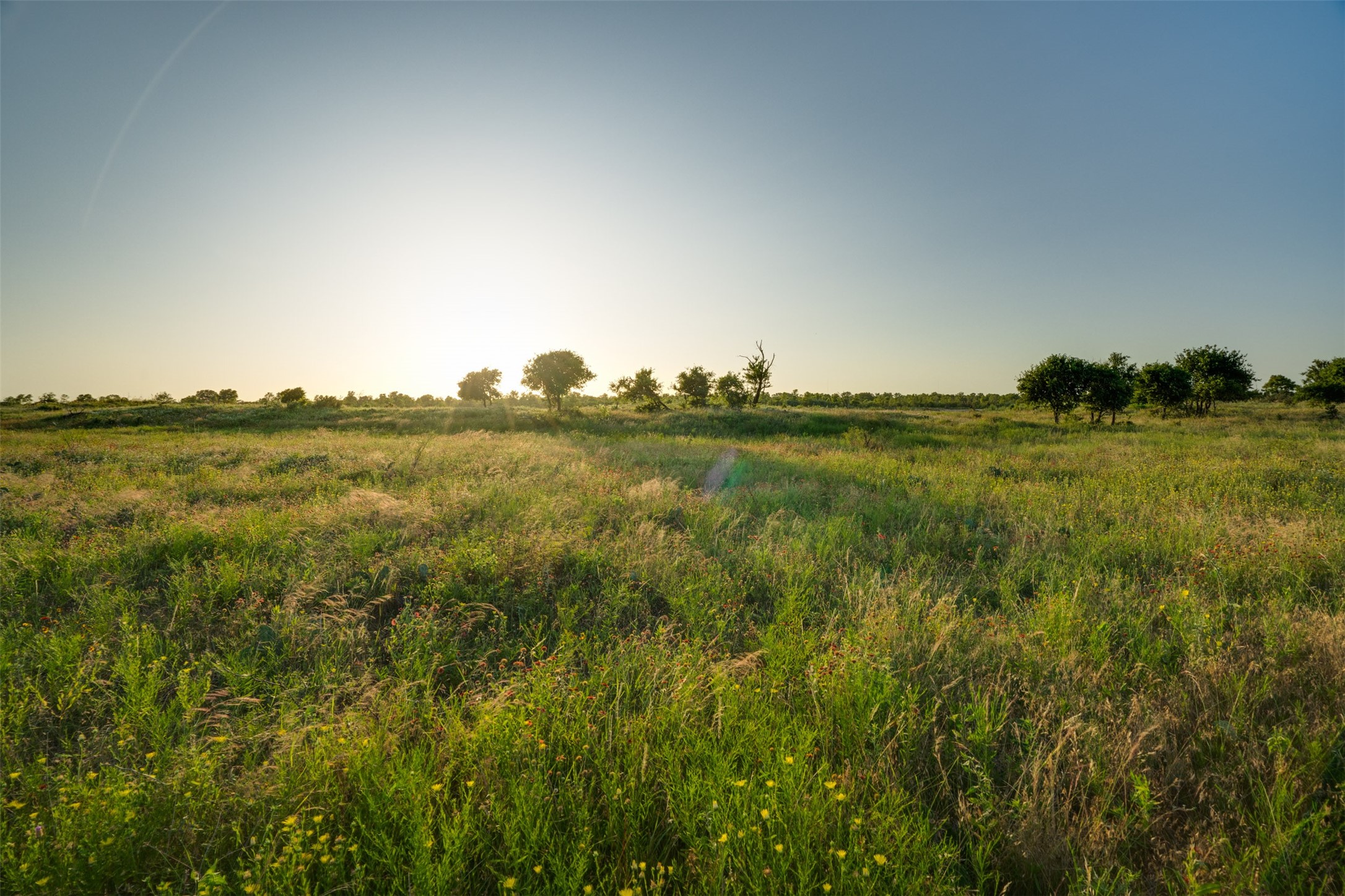 3396 River Bottom Road Burkburnett TX 76354